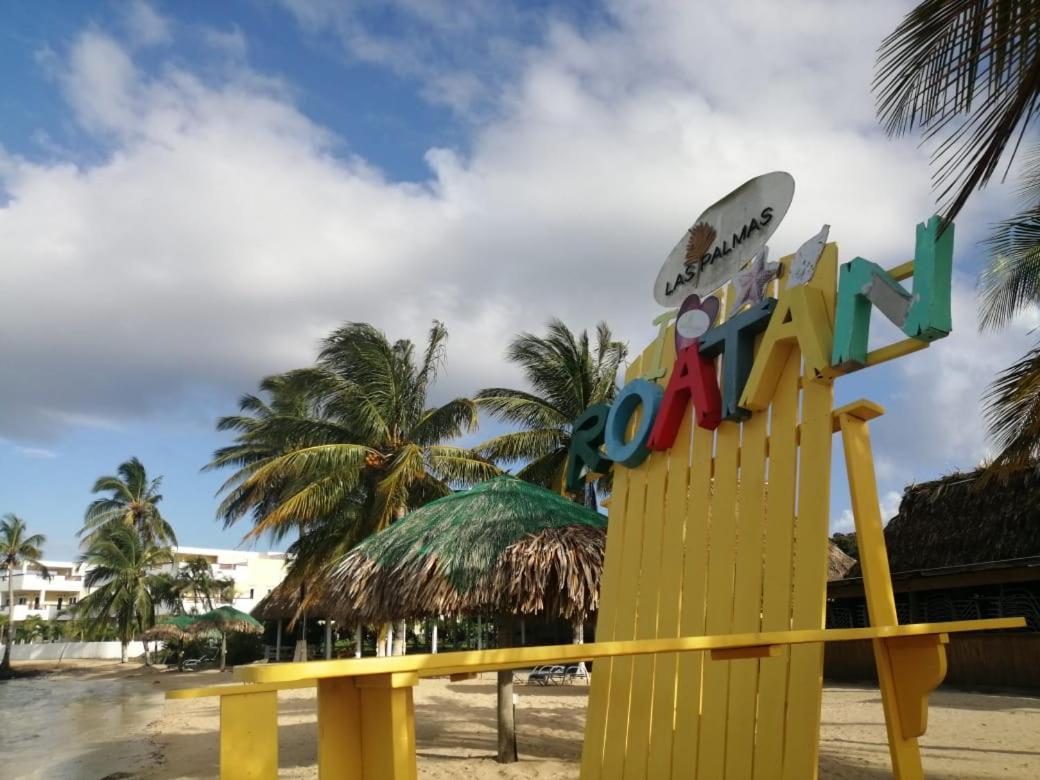 Las Palmas Beach Hotel Dixon Cove Ngoại thất bức ảnh