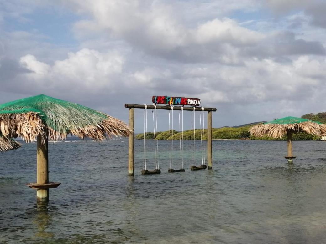 Las Palmas Beach Hotel Dixon Cove Ngoại thất bức ảnh