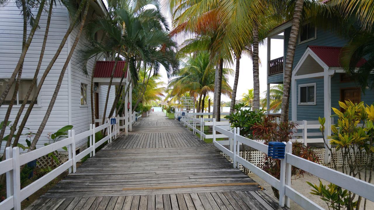 Las Palmas Beach Hotel Dixon Cove Ngoại thất bức ảnh