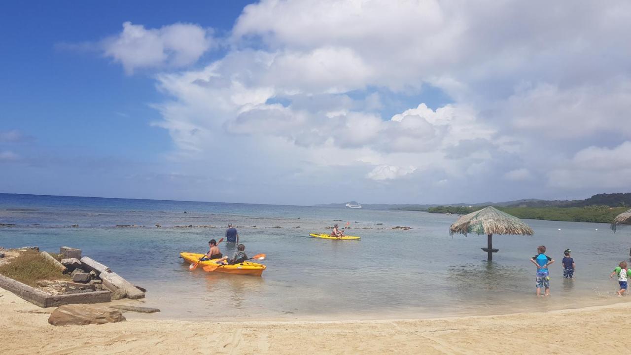 Las Palmas Beach Hotel Dixon Cove Ngoại thất bức ảnh