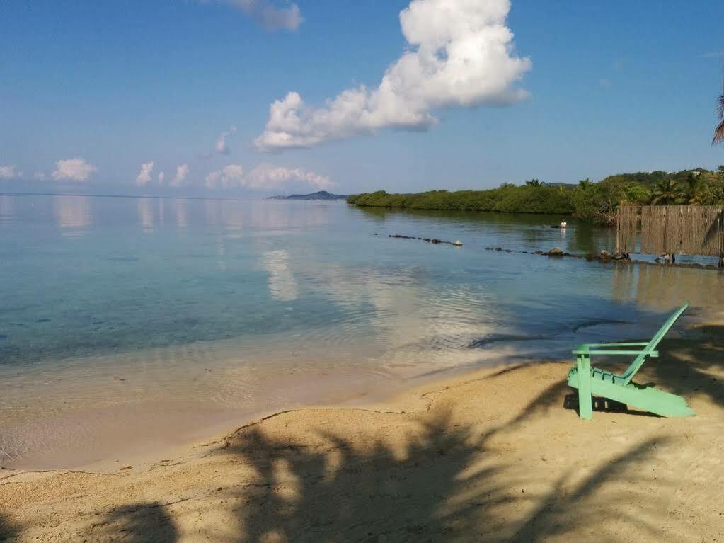 Las Palmas Beach Hotel Dixon Cove Ngoại thất bức ảnh